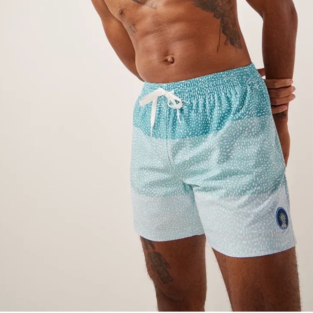 Men’s Chubbies 5.5” Inseam Swim Trunks